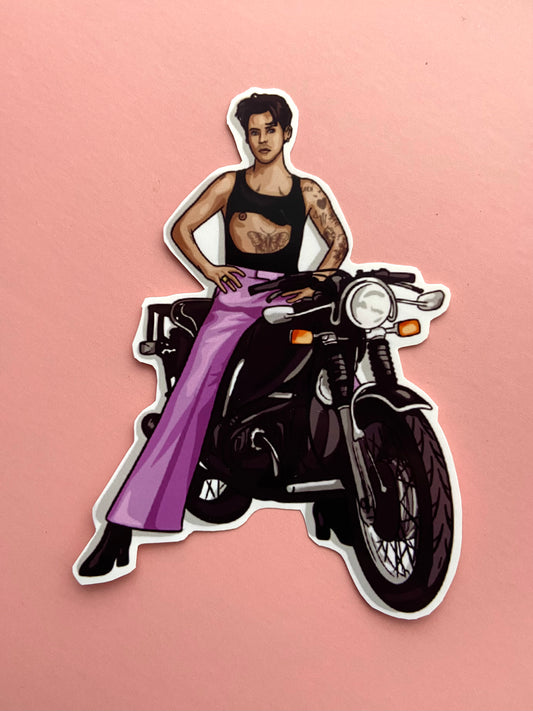 HARRY STICKER